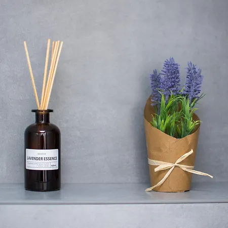 公寓 San Salvatore Luxury Penthouse